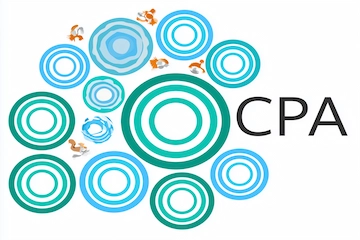 Maximize Conversions vs Target CPA: when to use each (2026)